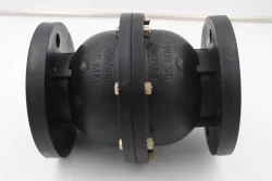 Non Return Valve Black